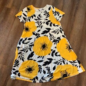 Gorgeous LulaRoe Jessie